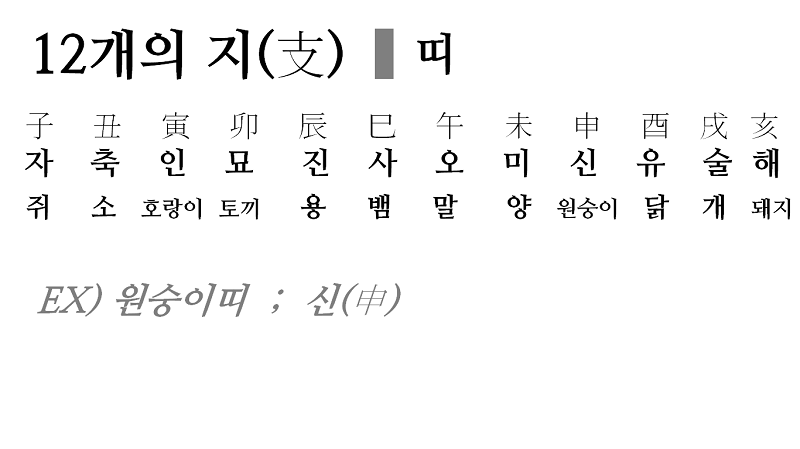 본인 태어난 해의 12간지는? | 인스티즈
