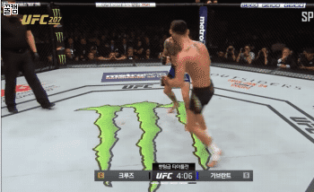 [UFC207] 크루즈 VS 가브런트 움짤 + 인터뷰 | 인스티즈