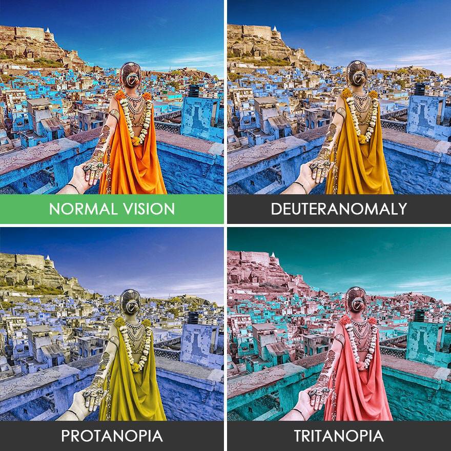 색각 이상인들 눈에 보이는 세상 | 인스티즈