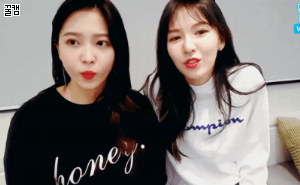 레드벨벳 예리가 연예인 봤을때.gif | 인스티즈