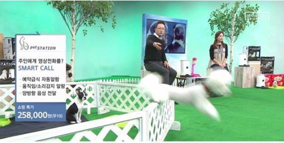 역대급 홈쇼핑 방송사고; | 인스티즈