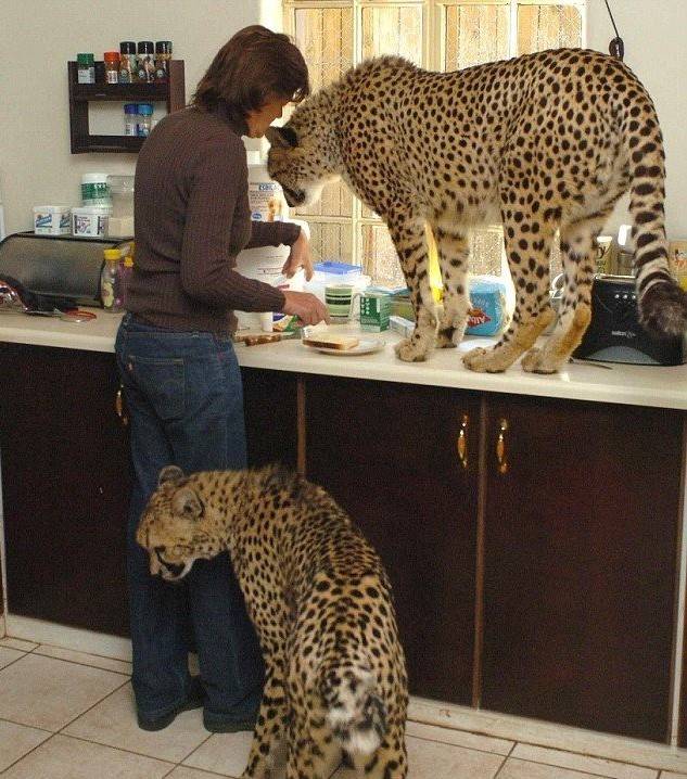 먹을거야?? 나도 줄거지?? | 인스티즈