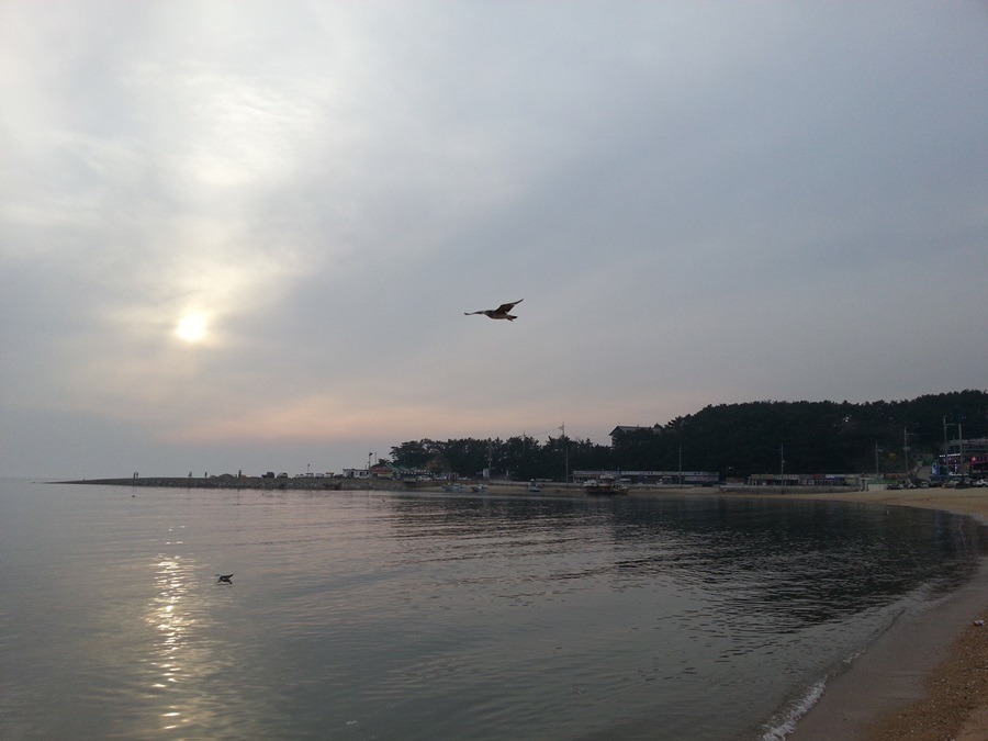서울 아재의 인천 앞바다에 사이다가 떠 있어도 컵 없이 마실 수 있는지 알아보는 여행기 | 인스티즈