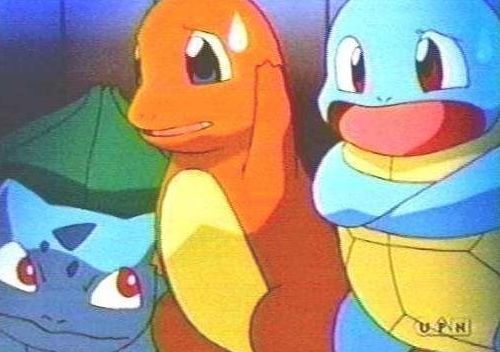 포켓몬스터 인기 4대장 | 인스티즈