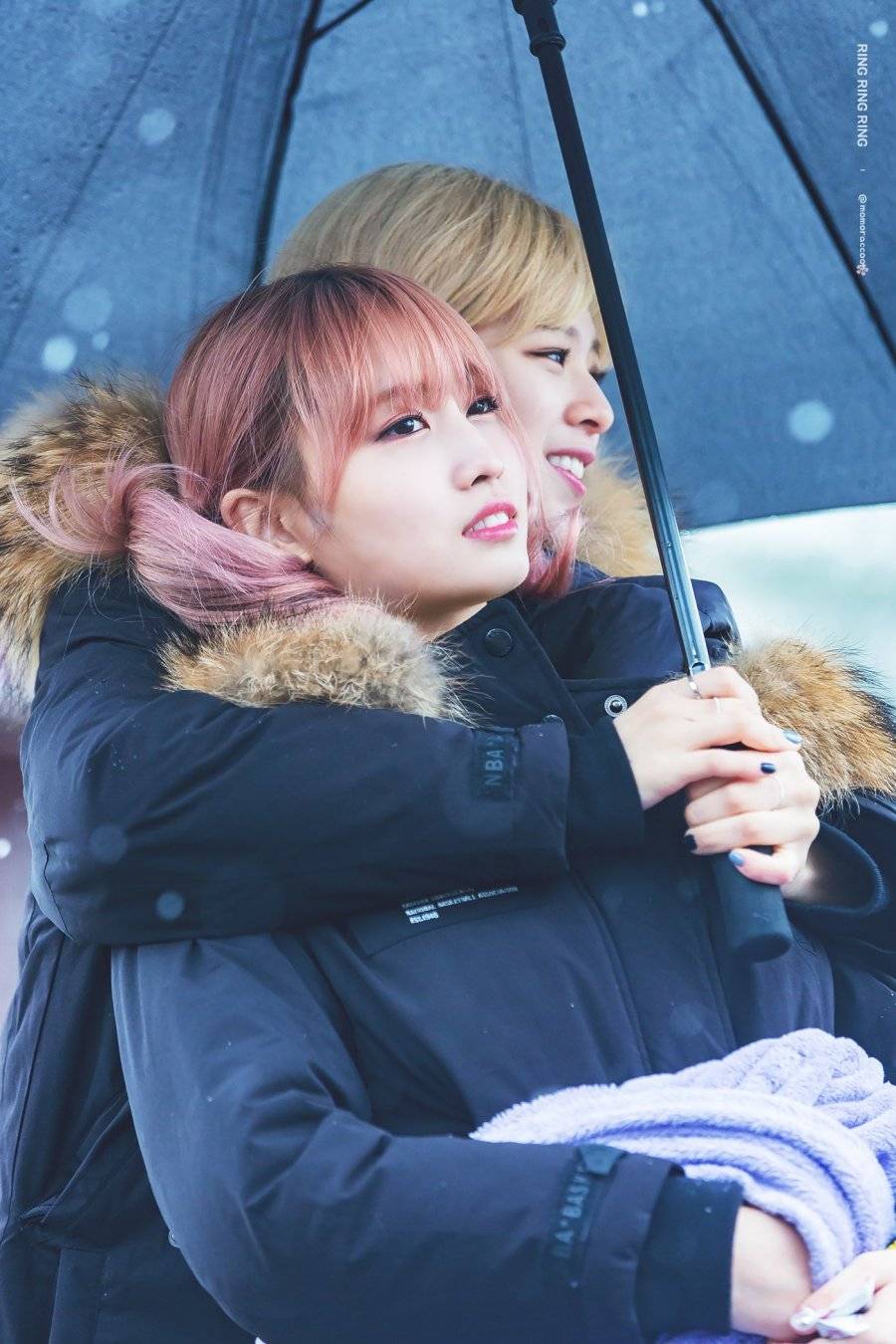 눈속의 트와이스 jpg | 인스티즈