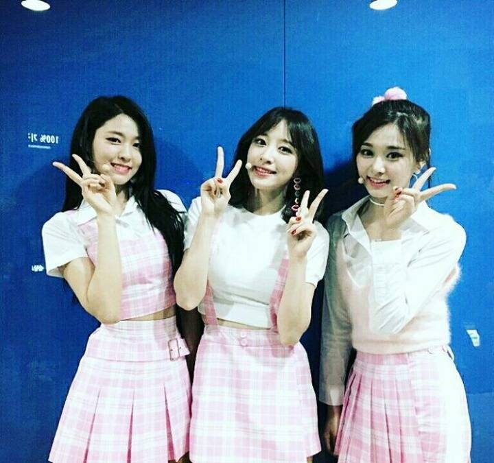 오늘자 하설쯔 | 인스티즈