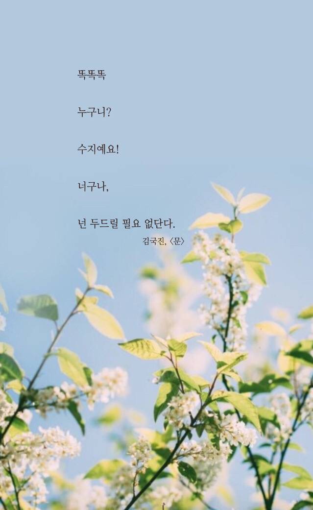 자신이 제일좋아하는 글귀 공유하자!! | 인스티즈