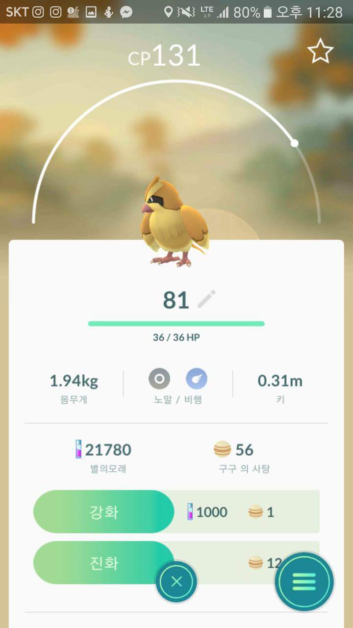 포켓몬고 흔한 포켓몬들의 작명 | 인스티즈