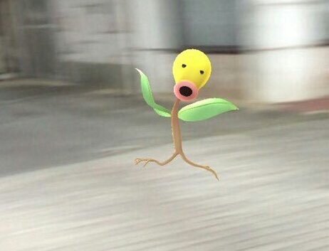 가취가욥에게 의식을 잡아 먹힌 사나이.JPG | 인스티즈