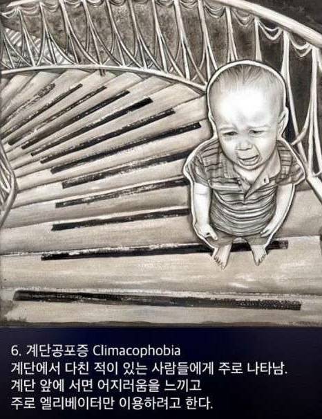 공포증 종류 | 인스티즈