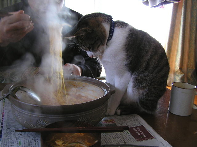 먹을거야?? 나도 줄거지?? | 인스티즈