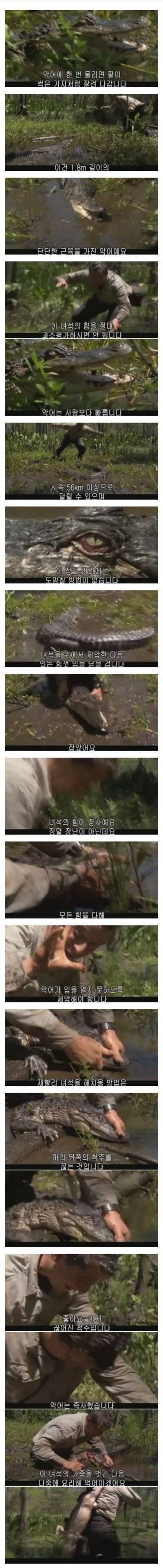 악어의 굴욕.jpg | 인스티즈