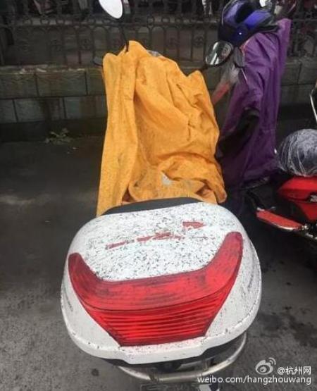 중국에 내리는 비 | 인스티즈