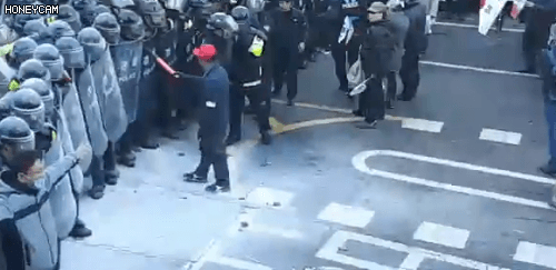 사다리로 때린 박사모 알고보니...gif | 인스티즈