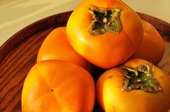 많은 사람들이 모르는 뿡뿡이의 정체 | 인스티즈