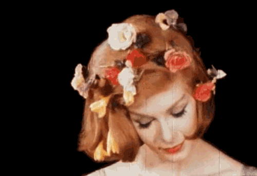 꽃향기를 맡는 느낌이 들게 같이 꽃움짤,봄움짤 보실래요? | 인스티즈