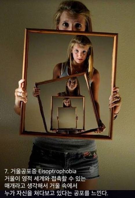 공포증 종류 | 인스티즈