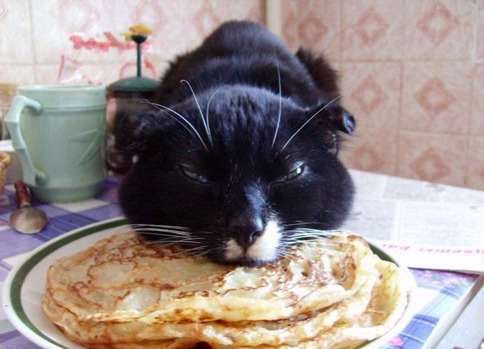 먹을거야?? 나도 줄거지?? | 인스티즈