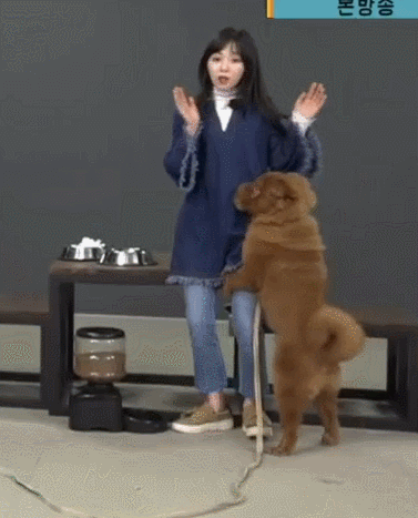 마리텔 방송사고 레전드.gif | 인스티즈