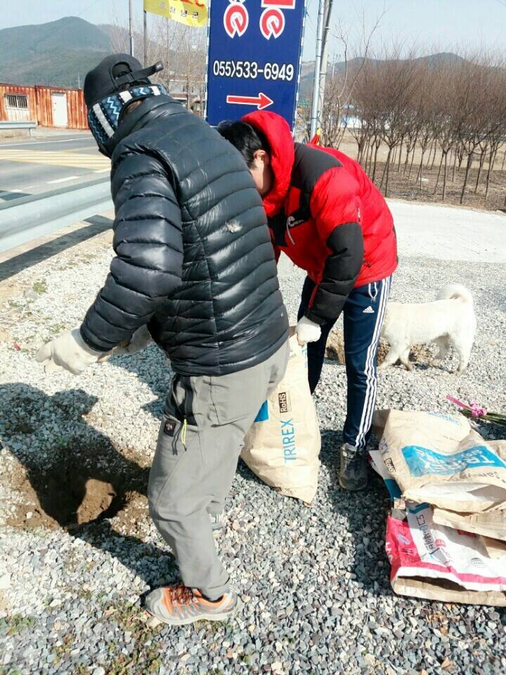 2월19일 일요일. 개소주가 되어버린 나의 가족 매실이를 예쁜매실나무로 만들어 보내주었습니다 | 인스티즈