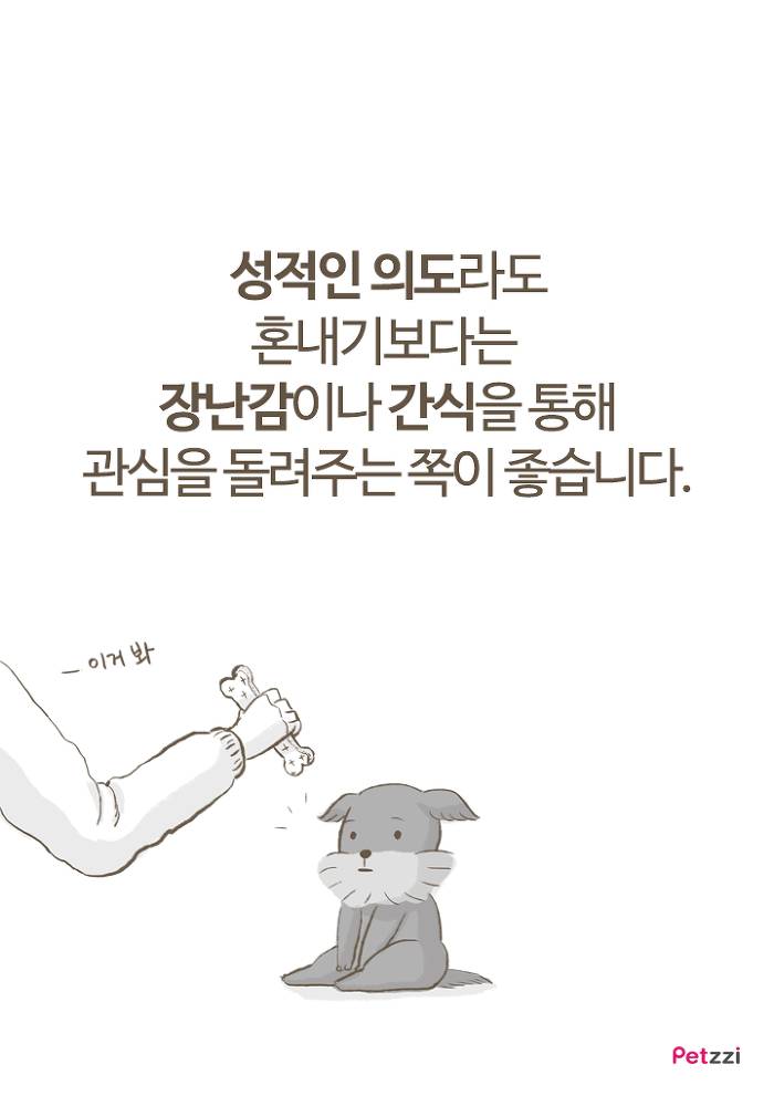 강아지 붕가붕가.jpg | 인스티즈