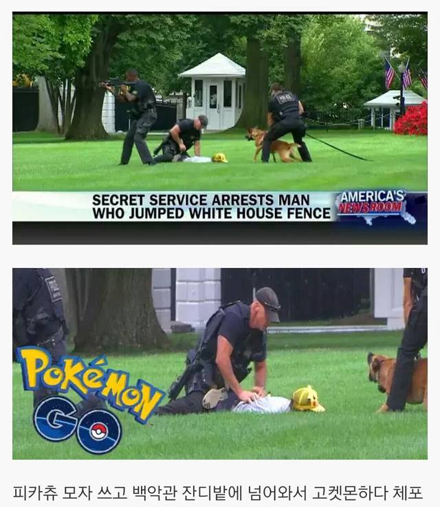 해외 포켓몬고 난리났을때 상황들... | 인스티즈