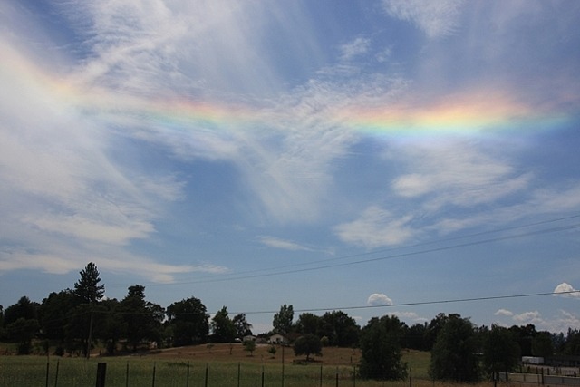 특이한 무지개들 | 인스티즈