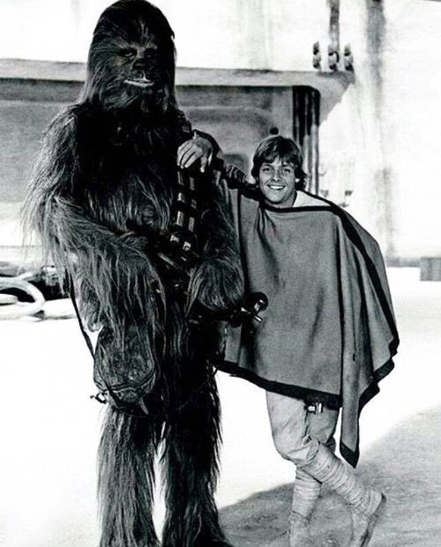 스타워즈 캐릭터 중 자신이 가장 좋아하는 캐릭터는? | 인스티즈