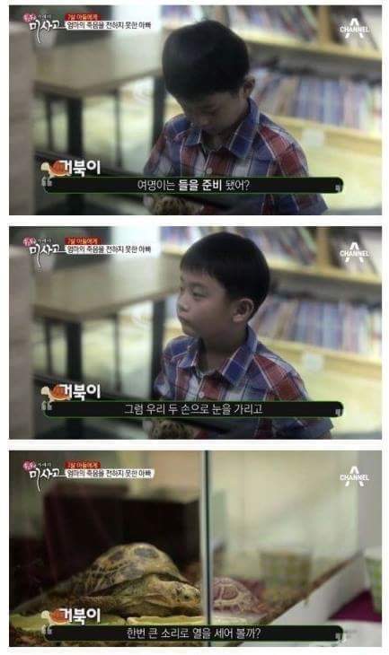 엄마의 죽음을 받아들이는 아이 | 인스티즈