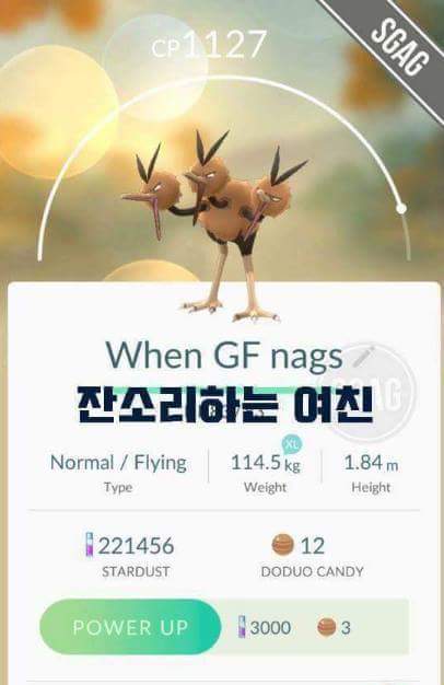 천조국의 흔한 포켓몬고 작명.jpg | 인스티즈