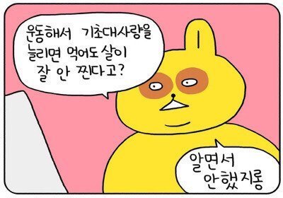 카톡프사하고 싶은 웃픈짤모음 | 인스티즈