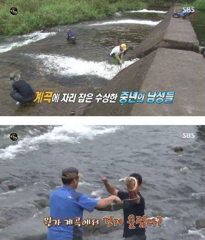 민물장어의 위엄 | 인스티즈