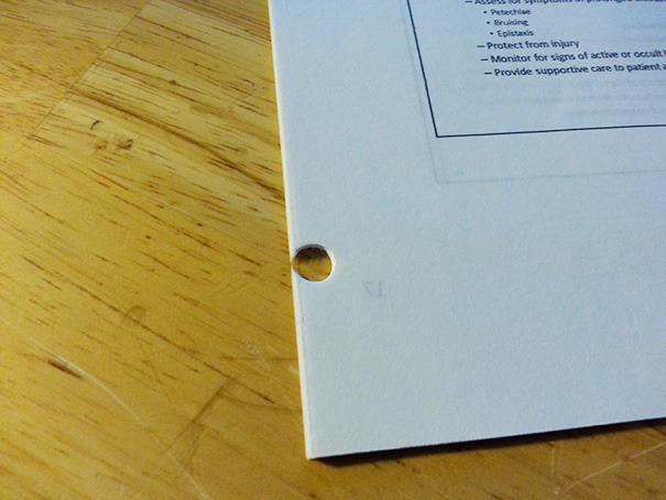 보면 편안해지고 마음이 안정되는 사진들.jpg | 인스티즈