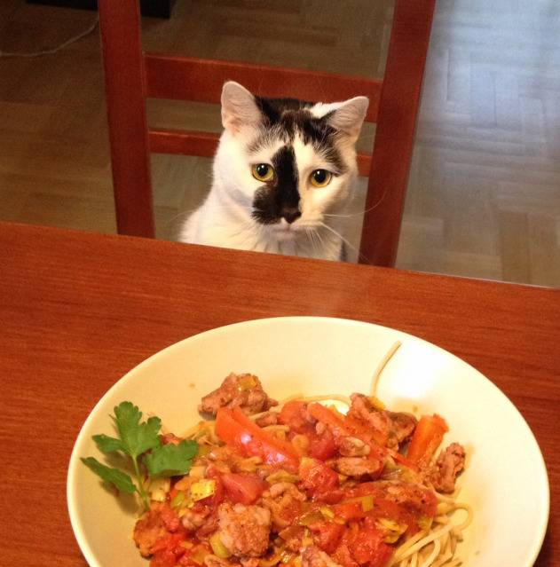 먹을거야?? 나도 줄거지?? | 인스티즈