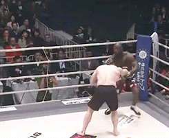 어제자 크로캅 복귀전 | 인스티즈