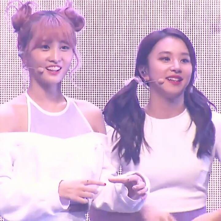 무언가를 설명하는 모모 | 인스티즈