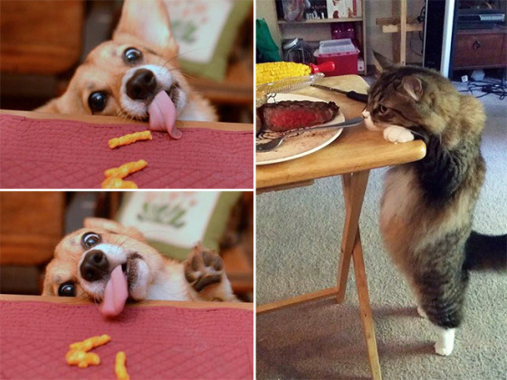 먹을거야?? 나도 줄거지?? | 인스티즈