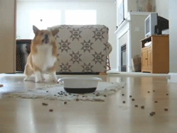 먹을거야?? 나도 줄거지?? | 인스티즈