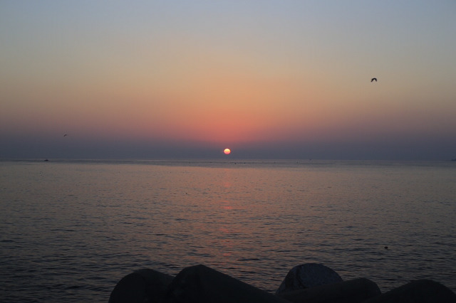 2017 새해 첫 일출 | 인스티즈