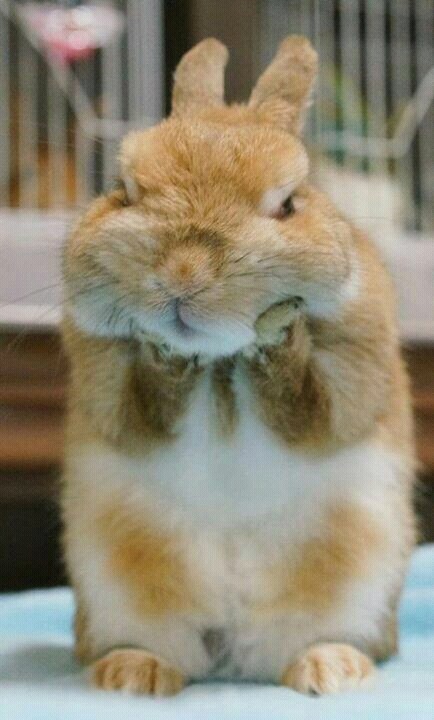 내가 원하는 스모키 메이크업 vs 내가 한 스모키 메이크업 | 인스티즈