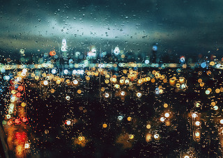 네가 버리지 못하는 유일한 문장이 되고 싶다 | 인스티즈