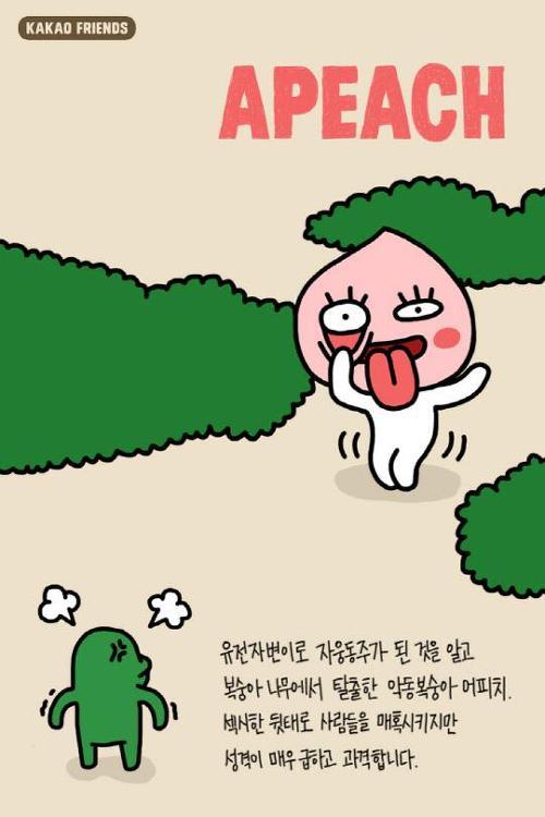 카카오 캐릭터별 성격 | 인스티즈