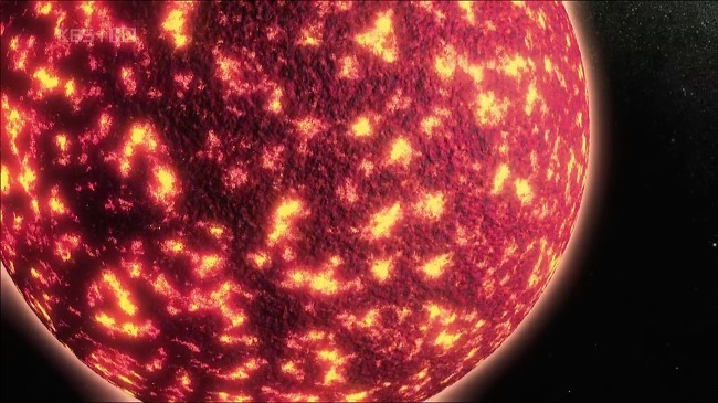 지구에 지적생명체는 오직 인간뿐이였다vs아니다 | 인스티즈