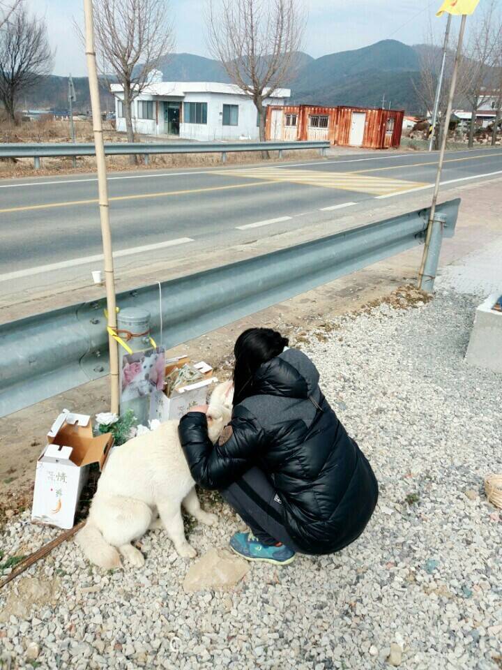 2월19일 일요일. 개소주가 되어버린 나의 가족 매실이를 예쁜매실나무로 만들어 보내주었습니다 | 인스티즈