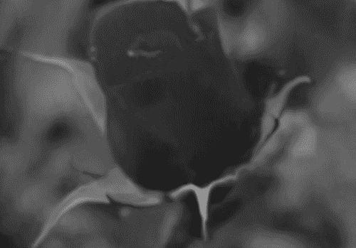 꽃향기를 맡는 느낌이 들게 같이 꽃움짤,봄움짤 보실래요? | 인스티즈