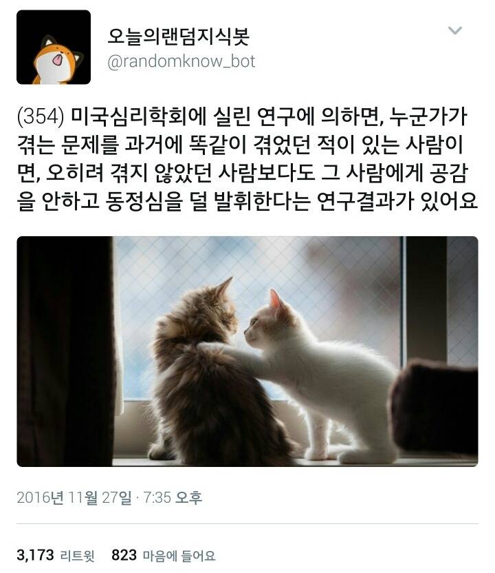 왕따 당하는 것을 견디지 못하는 사람을 욕하는 건 왕따를 당하고 견뎌낸 사람들이었음.twt | 인스티즈