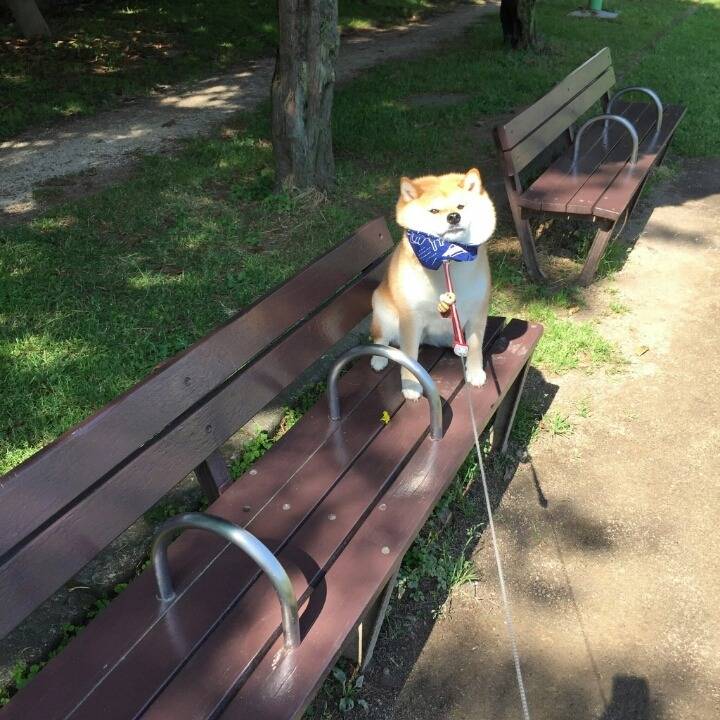 아직 돌아가기 싫어 시바.jpg | 인스티즈