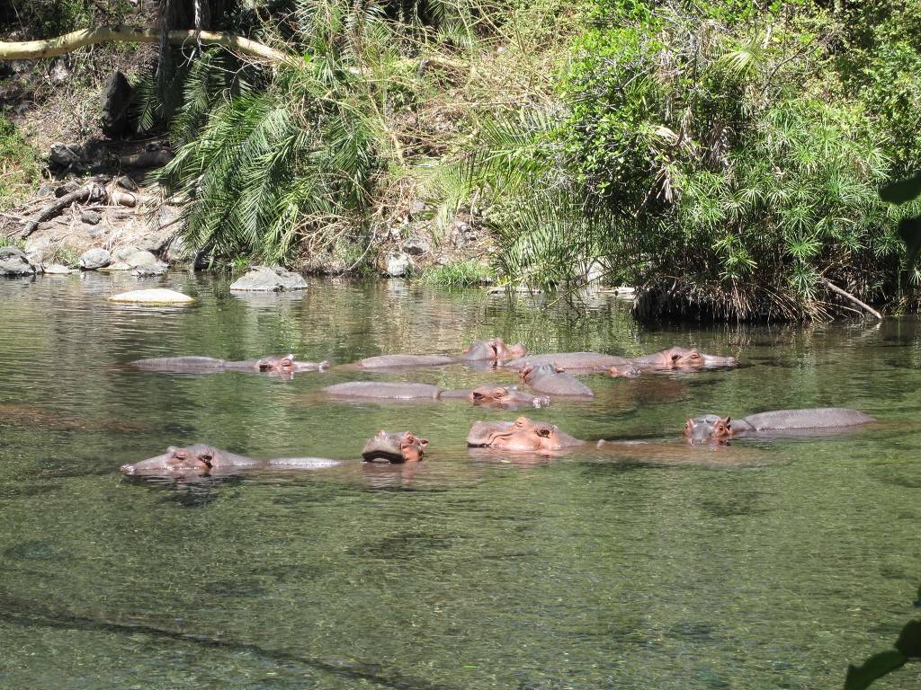 유럽여행보다 더 비싸다는 아프리카 여행 | 인스티즈