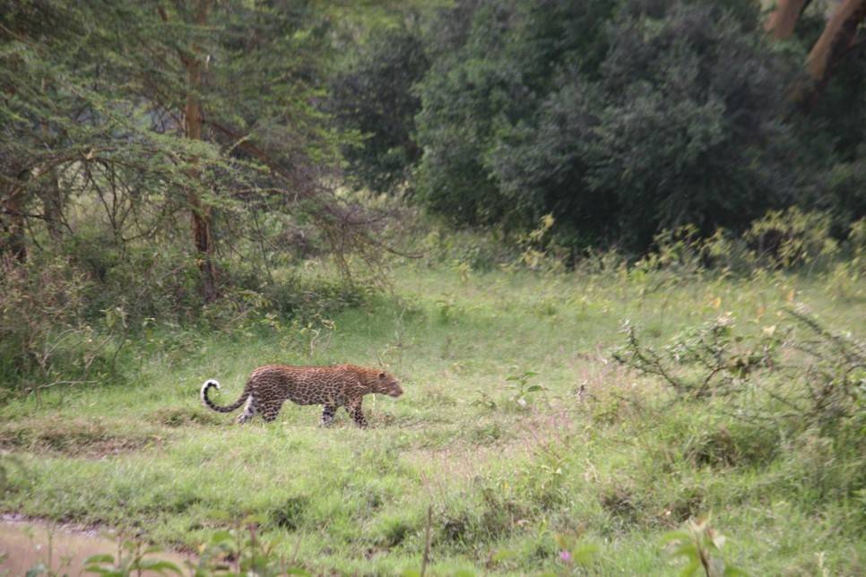 유럽여행보다 더 비싸다는 아프리카 여행 | 인스티즈