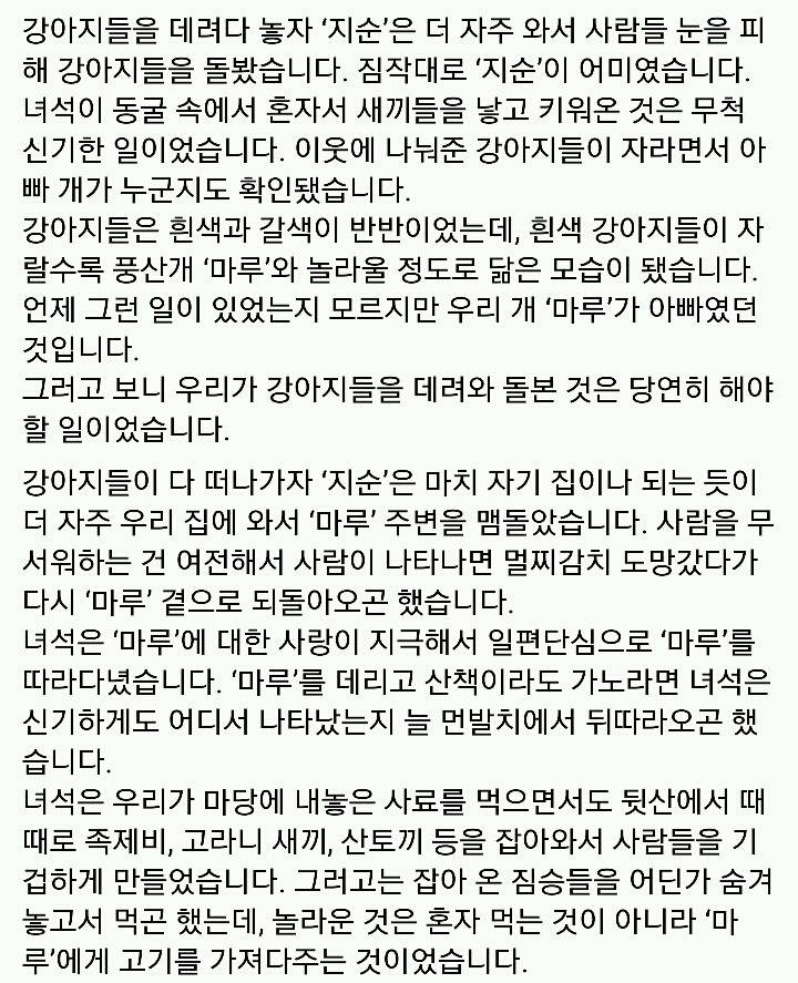 문재인 반려견 마루♡지순의 이야기 | 인스티즈